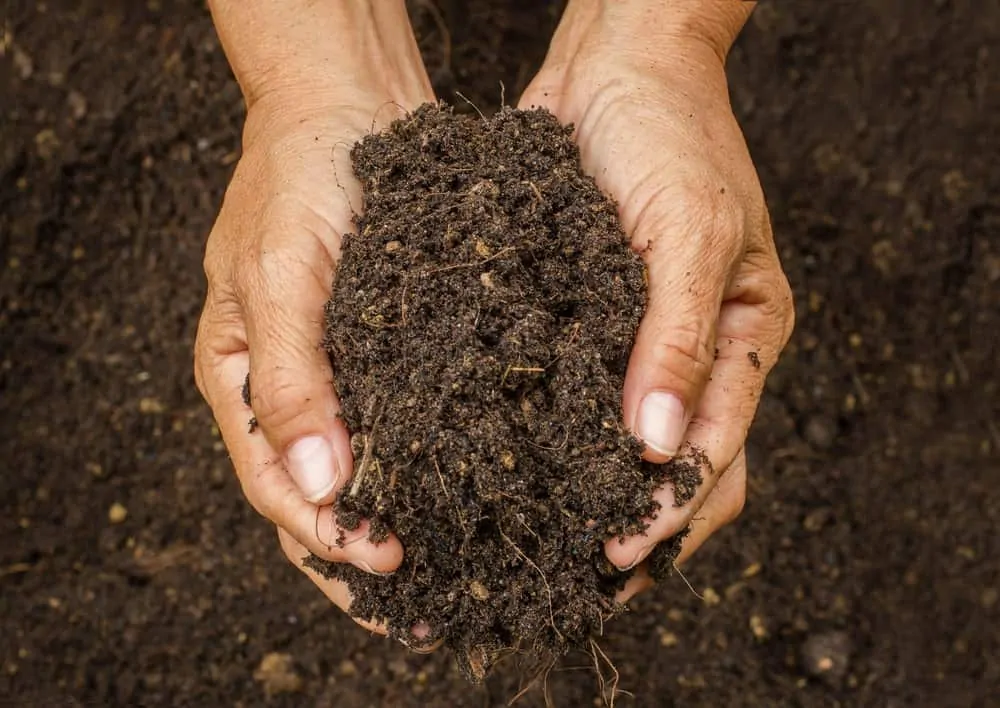 Topsoil in Cardiff