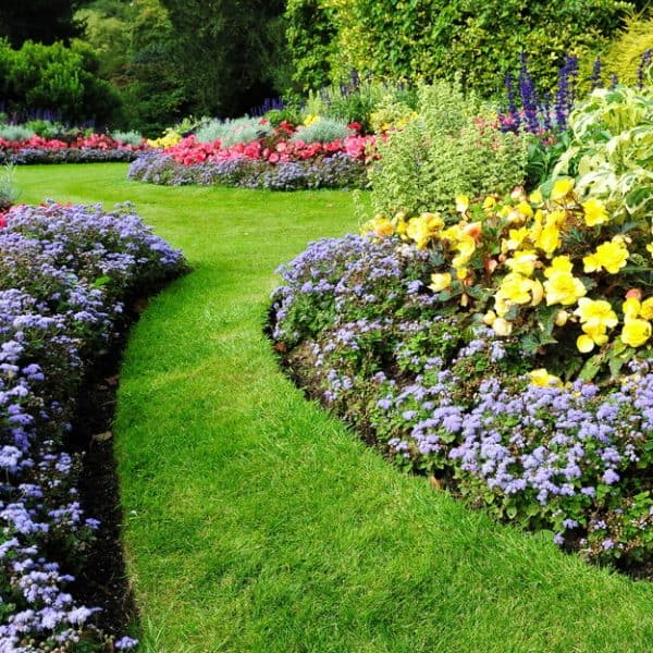 Garden filled with red, violet and yellow flowers.